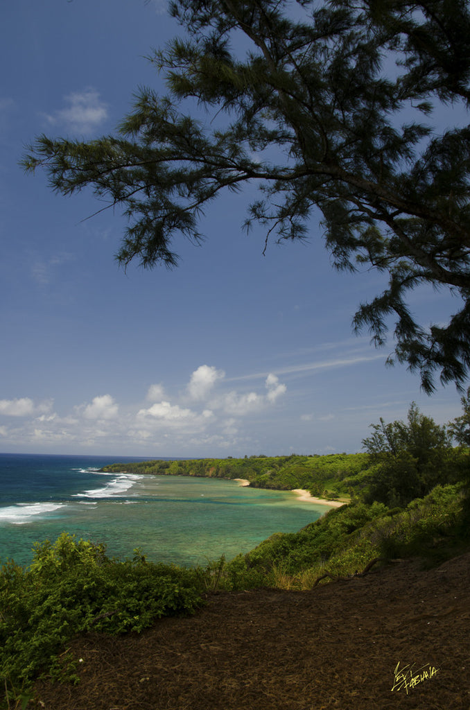 Pilaa Beach View Kauai - Hawaiipictures.com Pilaa Beach View Kauai - Hawaiipictures.com