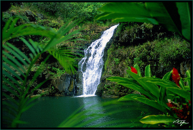 Waimea Waterfall Oahu - Hawaiipictures.com Waimea Waterfall Oahu - Hawaiipictures.com