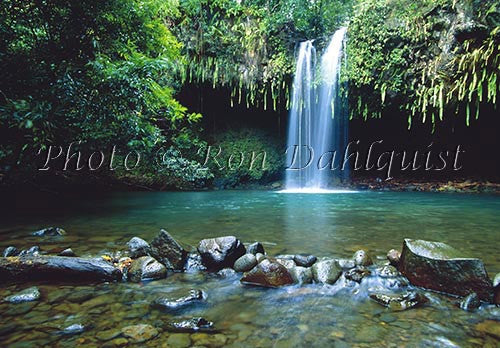 Twin Falls, Maui, Hawaii - Hawaiipictures.com Twin Falls, Maui, Hawaii - Hawaiipictures.com