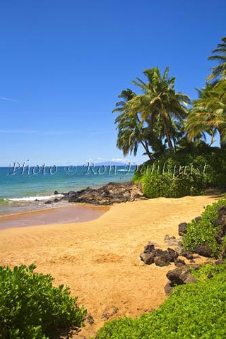 Changs Beach, Makena, Maui, Hawaii Picture - Hawaiipictures.com