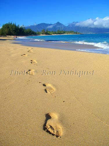 Footprints in the sand, Maui, Hawaii Picture - Hawaiipictures.com