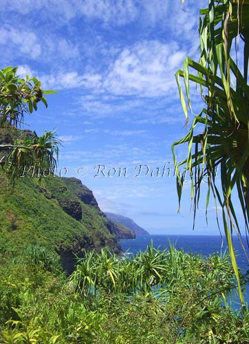 View of Na Pali coast and Hanakapiai beach area as viewed from Kalalau Trail. Kauai, Hawaii Photo - Hawaiipictures.com