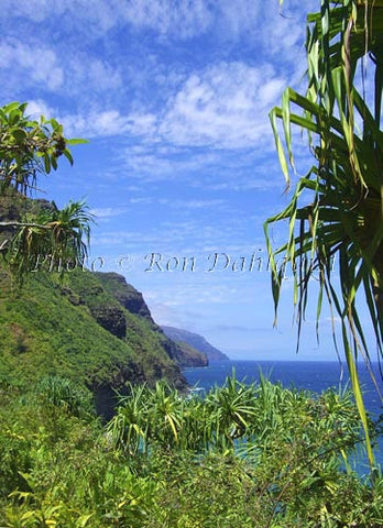 View of Na Pali coast and Hanakapiai beach area as viewed from Kalalau Trail. Kauai, Hawaii Photo - Hawaiipictures.com