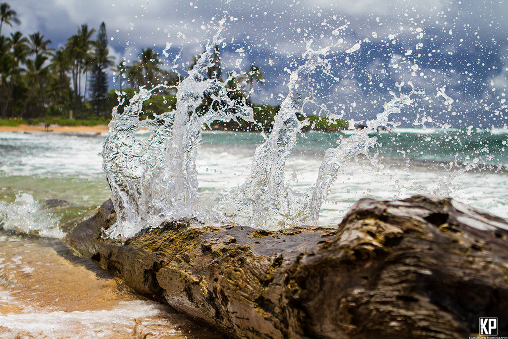 Kauai Driftwood Splash - Hawaiipictures.com Kauai Driftwood Splash - Hawaiipictures.com