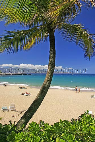 Fleming Beach in Kapalua, Maui - Hawaiipictures.com