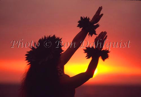 Silhouette of hula dancer at sunset. Maui, Hawaii Picture - Hawaiipictures.com