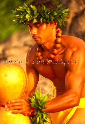 Traditional male Hawaiian Kahiko hula dancer with Ipu drum, Maui, Hawaii - Hawaiipictures.com