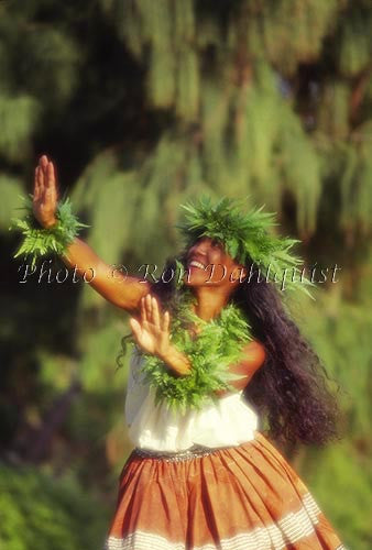 Kahiko hula, Maui, Hawaii Picture - Hawaiipictures.com