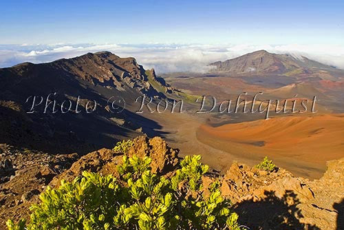 View of cinder cones in Haleakala Crater, Maui, Hawaii Photo - Hawaiipictures.com