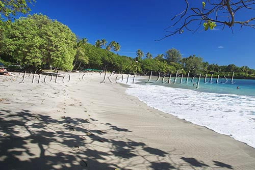 Hamoa Beach, Hana, Maui, Hawaii Photo - Hawaiipictures.com