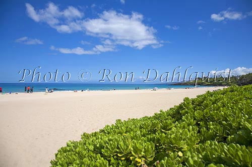 Beautiful Hapuna beach on the Kohala coast of the Big Island of Hawaii Picture - Hawaiipictures.com