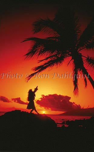 Silhouette of hula dancer, Maui, Hawaii Picture Photo - Hawaiipictures.com