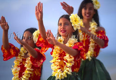 Keiki hula dancers with plumeria lei, Maui, Hawaii Picture