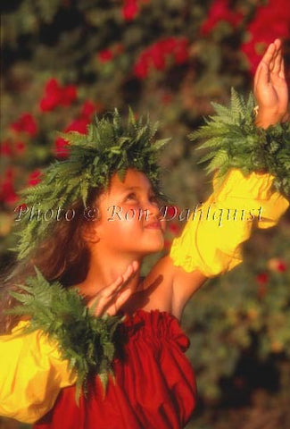 Keiki hula dancer, Hawaii - Hawaiipictures.com
