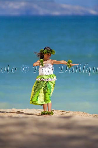 Keiki hula dancer, Maui, Hawaii Picture Photo Stock Photo - Hawaiipictures.com