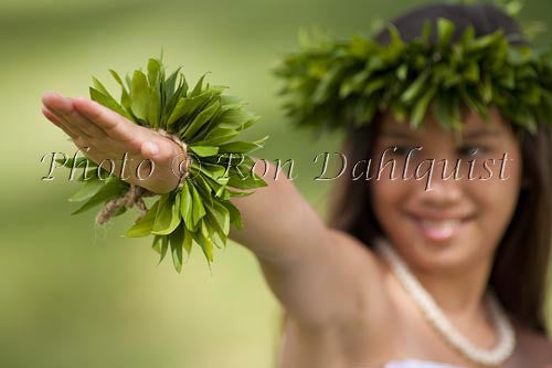 Keiki hula dancer, Maui, Hawaii Picture Stock Photo Print - Hawaiipictures.com