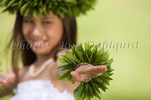 Keiki hula dancer, Maui, Hawaii Photo Stock Photo - Hawaiipictures.com