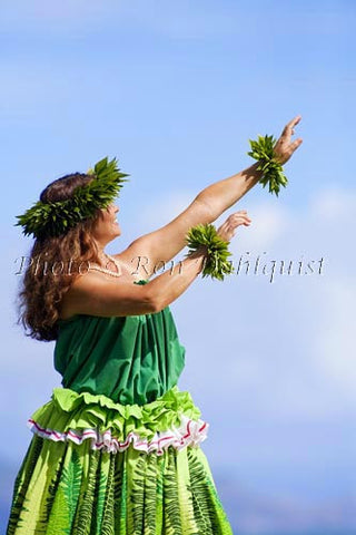 Hula Kahiko dancer, Maui, Hawaii MR Picture - Hawaiipictures.com