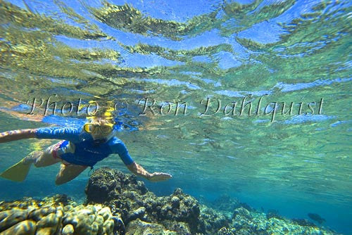 Snorkeling at Ahihi Kinau Natural Area Reserve, Maui, Hawaii Photo - Hawaiipictures.com