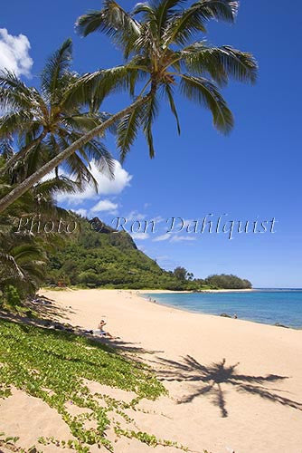 Haena Beach. Kauai, Hawaii Photo Stock Photo - Hawaiipictures.com