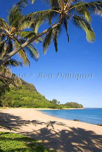 Haena Beach. Kauai, Hawaii Photo - Hawaiipictures.com