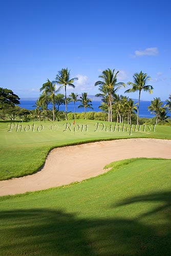 Wailea Gold Golf Course, Maui, Hawaii Picture Stock Photo - Hawaiipictures.com