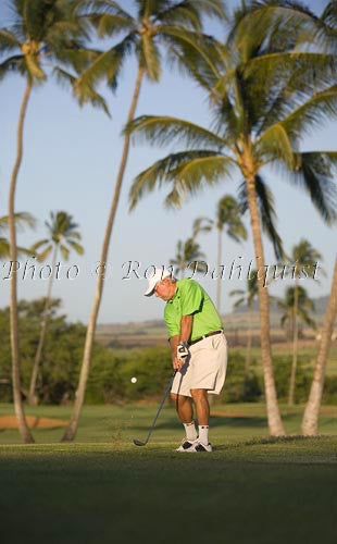 Man playing golf, Maui Country Club, Maui, Hawaii - Hawaiipictures.com