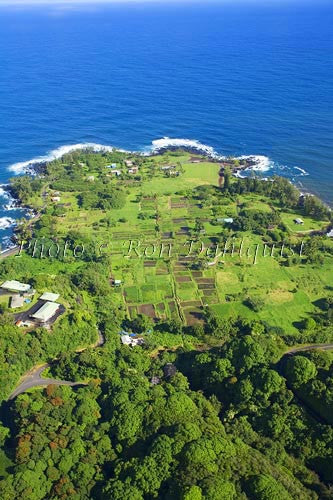 Keanae Peninsula along the road to Hana, Maui, Hawaii - Hawaiipictures.com Keanae Peninsula along the road to Hana, Maui, Hawaii - Hawaiipictures.com