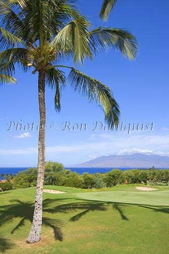 Wailea Gold Golf course, Maui, Hawaii Photo - Hawaiipictures.com
