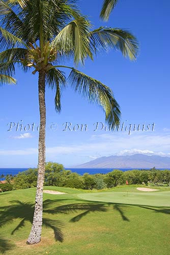 Wailea Gold Golf course, Maui, Hawaii Photo - Hawaiipictures.com Wailea Gold Golf course, Maui, Hawaii Photo - Hawaiipictures.com