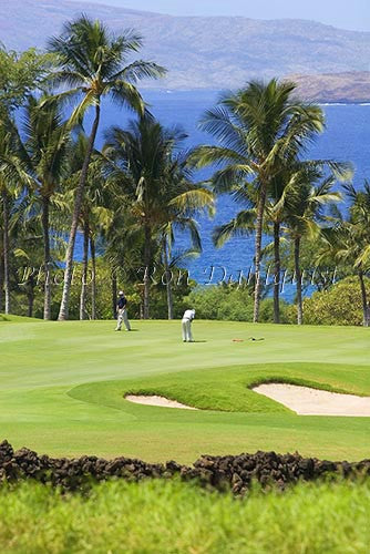 Golfers on Wailea Gold Golf Course, Maui, Hawaii - Hawaiipictures.com