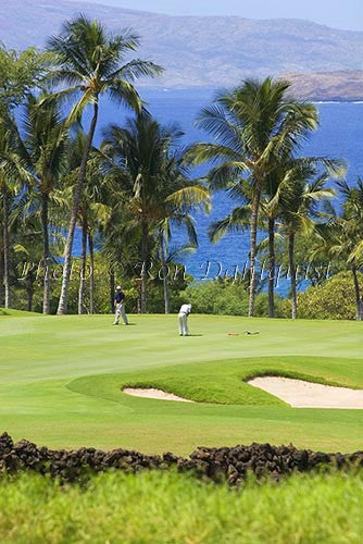 Golfers on Wailea Gold Golf Course, Maui, Hawaii - Hawaiipictures.com Golfers on Wailea Gold Golf Course, Maui, Hawaii - Hawaiipictures.com