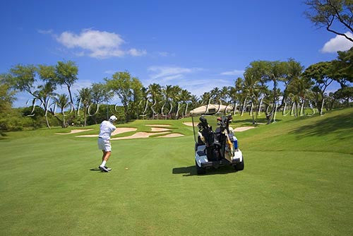 Wailea Gold Golf course, Maui, Hawaii Picture - Hawaiipictures.com