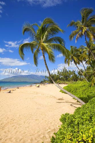 Kamaole 1 Beach, Kihei, Maui Picture - Hawaiipictures.com