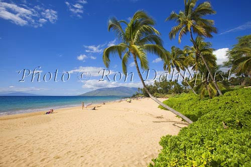 Kamaole 1 Beach, Kihei, Maui - Hawaiipictures.com