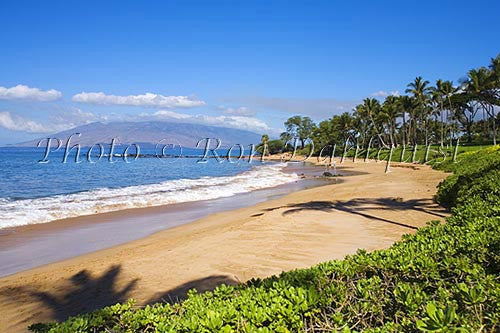 Ulua Beach and palm trees, Wailea, Maui, Hawaii Picture - Hawaiipictures.com