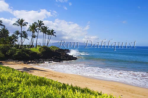 Ulua Beach and palm trees, Wailea, Maui, Hawaii Picture Photo - Hawaiipictures.com