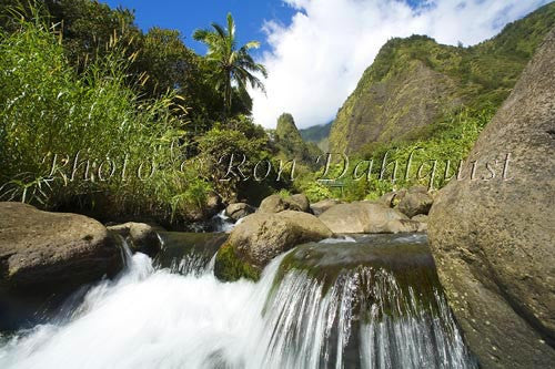 Iao Needle and Iao Valley State Park, Maui, Hawaii - Hawaiipictures.com Iao Needle and Iao Valley State Park, Maui, Hawaii - Hawaiipictures.com