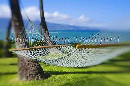 Hammock, Maui, Hawaii - Hawaiipictures.com