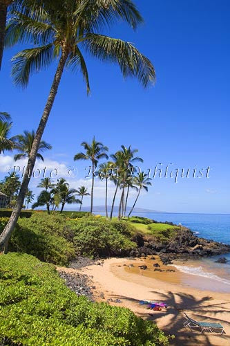 Ulua Beach, Wailea, Maui, Hawaii Picture Photo - Hawaiipictures.com