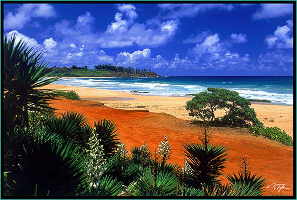 Kealia Beach Kauai - Hawaiipictures.com