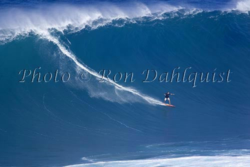 Surfer, Dave Kalama, on a big day at Peahi, also known as Jaws, Maui, Hawaii MNR Picture - Hawaiipictures.com