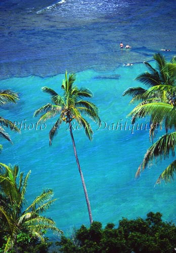 Snorkelers at the reef off of Kee beach, Kauai, Hawaii - Hawaiipictures.com