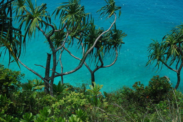 Picture Of Ocean From The Napali Coast - Hawaiipictures.com