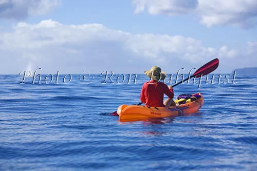 Kayaker and whale spout, Maui, Hawaii - Hawaiipictures.com