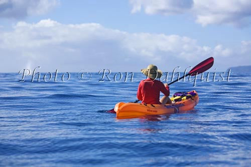 Kayaker and whale spout, Maui, Hawaii - Hawaiipictures.com Kayaker and whale spout, Maui, Hawaii - Hawaiipictures.com