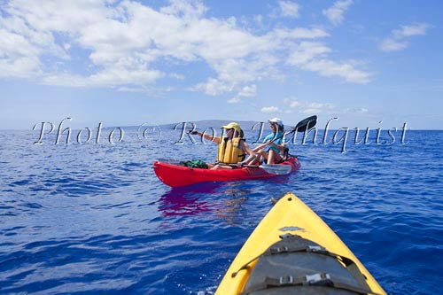Kayakers (ages 55-65) whale watching in water off of Kihei, Maui, Hawaii - Hawaiipictures.com