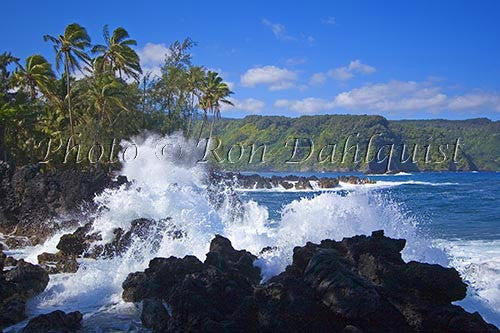 Keanae Peninsula, road to Hana, Maui, Hawaii - Hawaiipictures.com Keanae Peninsula, road to Hana, Maui, Hawaii - Hawaiipictures.com