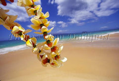 Lei and Big Beach, Oneloa, Makena, Maui, Hawaii