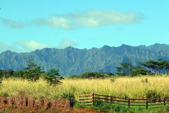 Mountains Of Kauai Picture - Hawaiipictures.com